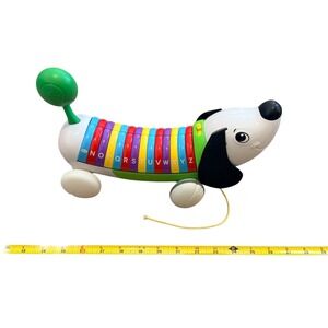 LeapFrog AlphaPup Letters Phonics Alphabet Learning and Pull Toy